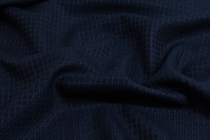 Small Navy / Blue check