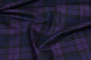 Purple Blue Watch