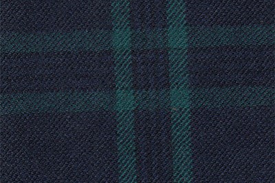 Navy with green check
