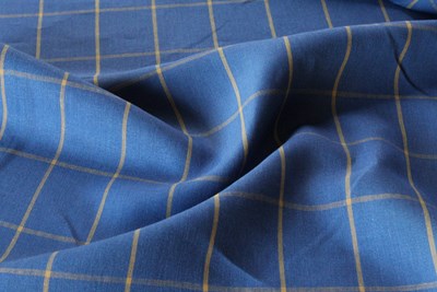 Blue with Yellow Check