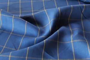 Blue with Yellow Check