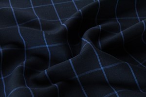Navy with blue Check