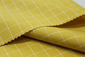 Yellow with White Box Check
