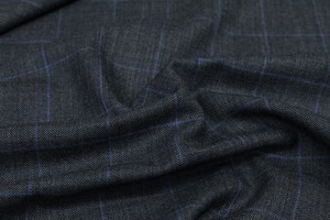 Grey w/ Blue windowpane