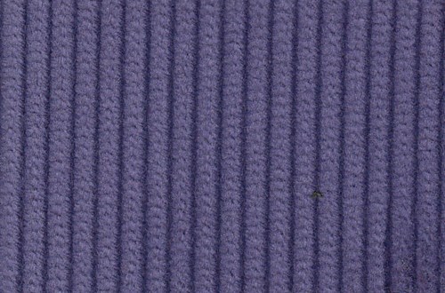 Purple 8 wale cord
