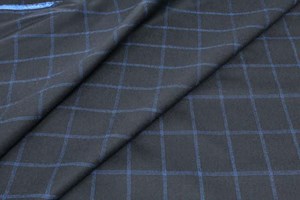 Black with Blue Overcheck