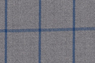 Light Grey with Bright Blue Check
