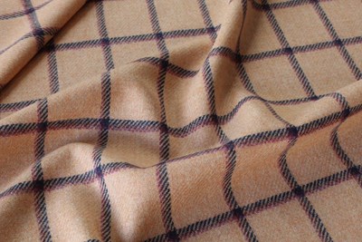 Salmon Pink w/ Navy & Fuchsia Windowpane