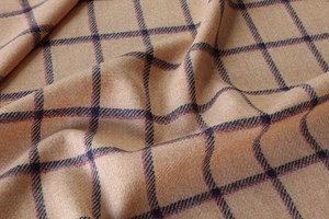 Salmon Pink w/ Navy & Fuchsia Windowpane