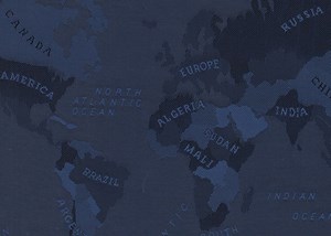 Navy World Map